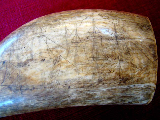 A 19th century Scrimshaw whale's tooth — image 3